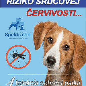 Srdcová červivosť - nebezpečné parazitické ochorenie